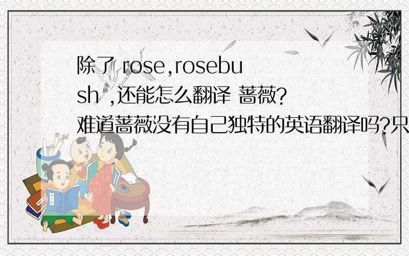 除了 rose,rosebush ,还能怎么翻译 蔷薇?难道蔷薇没有自己独特的英语翻译吗?只有跟玫瑰的翻译一样吗?