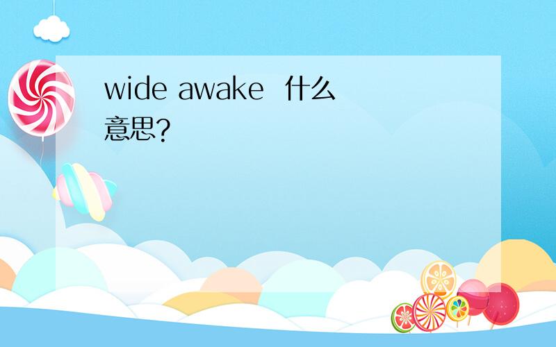 wide awake  什么意思?