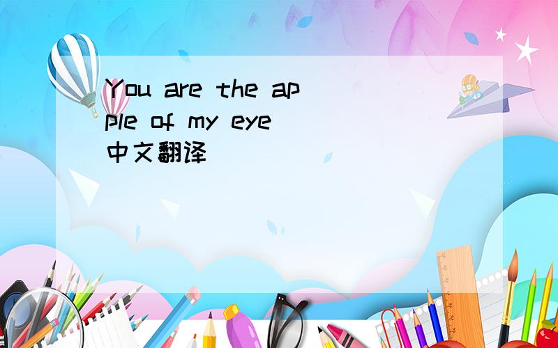 You are the apple of my eye 中文翻译