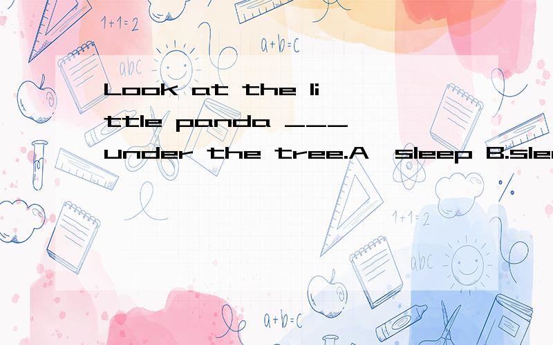 Look at the little panda ___under the tree.A、sleep B.sleeps C.is sleeping D.sleeping