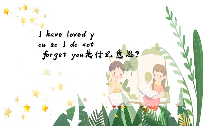I have loved you so I do not forget you是什么意思?