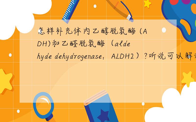 怎样补充体内乙醇脱氢酶 (ADH)和乙醛脱氢酶（aldehyde dehydrogenase：ALDH2）?听说可以解酒!我老是喝醉,唉应酬没办法.