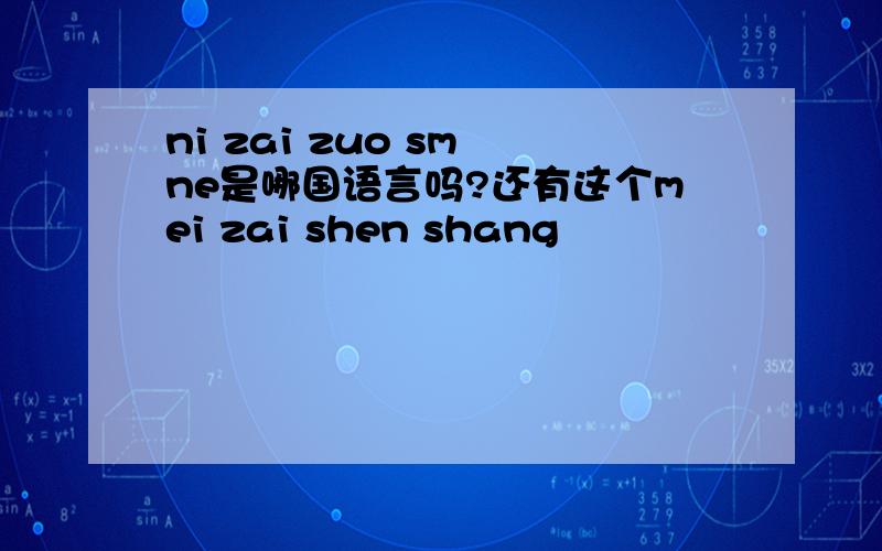 ni zai zuo sm ne是哪国语言吗?还有这个mei zai shen shang