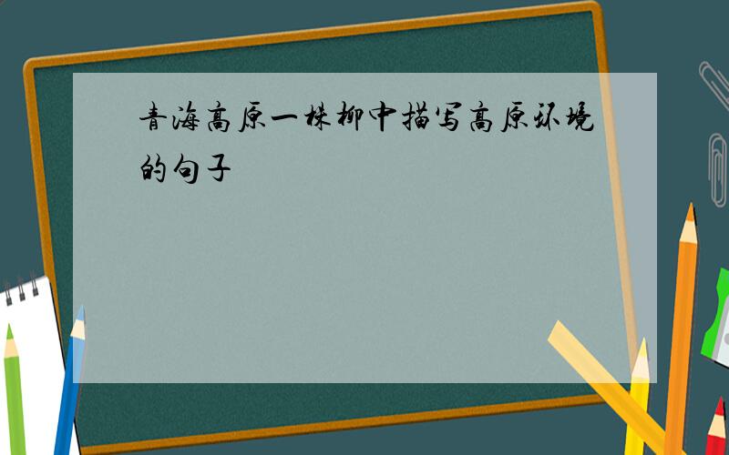 青海高原一株柳中描写高原环境的句子