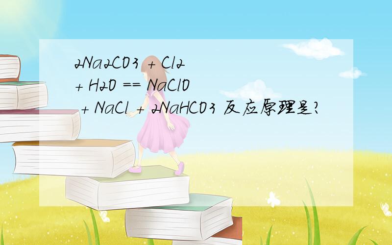 2Na2CO3 + Cl2 + H2O == NaClO + NaCl + 2NaHCO3 反应原理是?