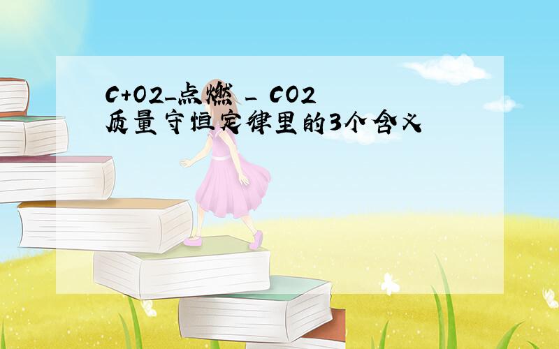 C+O2_点燃 _ CO2 质量守恒定律里的3个含义
