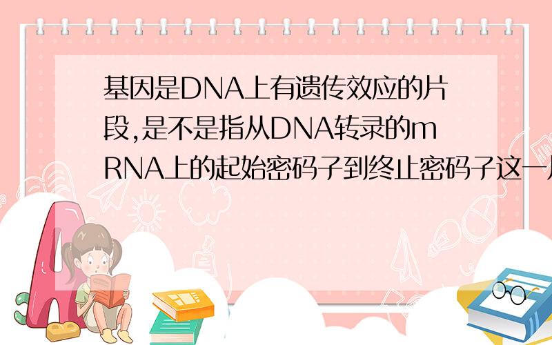 基因是DNA上有遗传效应的片段,是不是指从DNA转录的mRNA上的起始密码子到终止密码子这一片段?基因上的内含子是什么?是不是指基因的非编码区?基因突变只能发生在基因中?DNA上非基因的片段