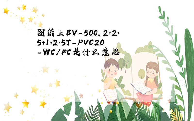 图纸上BV-500,2*2.5+1*2.5T-PVC20-WC/FC是什么意思