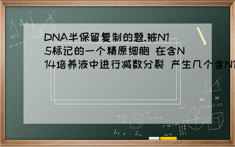 DNA半保留复制的题.被N15标记的一个精原细胞 在含N14培养液中进行减数分裂 产生几个含N15的精细胞、入锅放射性完全标记的一个双链DNA分子在无放射性标记的溶液中复制两次 那么产生4个DNA