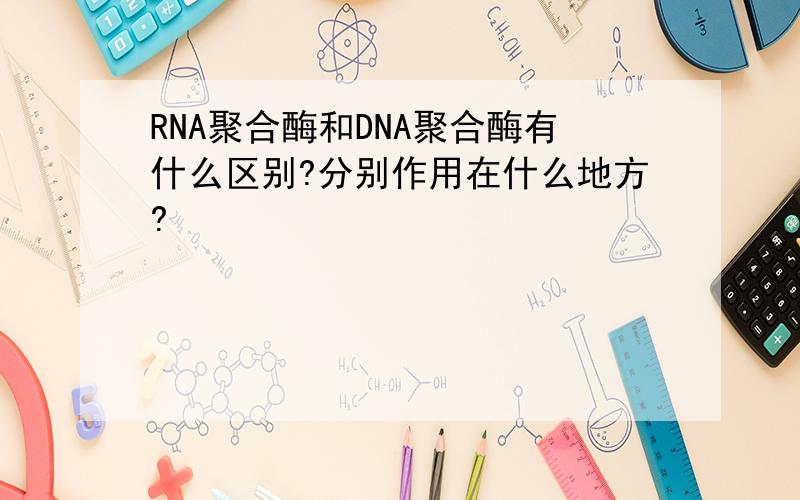 RNA聚合酶和DNA聚合酶有什么区别?分别作用在什么地方?