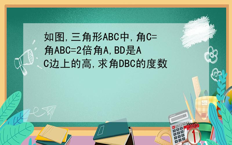 如图,三角形ABC中,角C=角ABC=2倍角A,BD是AC边上的高,求角DBC的度数