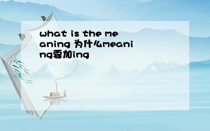 what is the meaning 为什么meaning要加ing