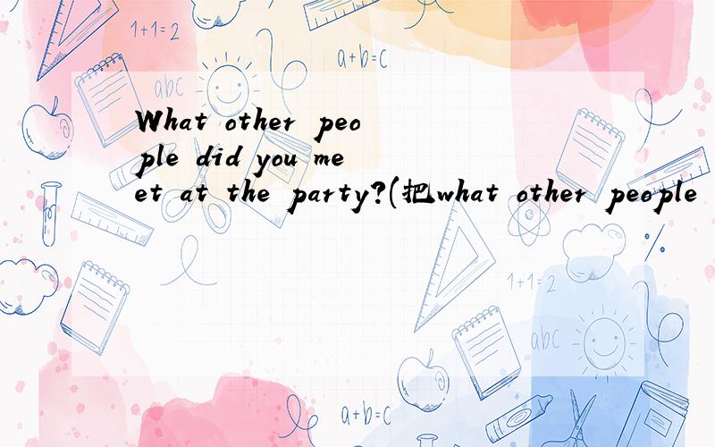 What other people did you meet at the party?(把what other people 进行替换）