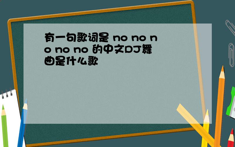有一句歌词是 no no no no no 的中文DJ舞曲是什么歌