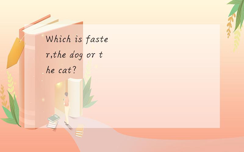 Which is faster,the dog or the cat?