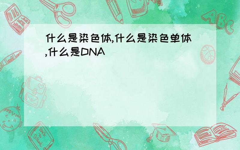什么是染色体,什么是染色单体,什么是DNA