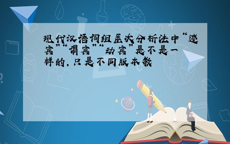 现代汉语词组层次分析法中“述宾”“谓宾”“动宾”是不是一样的,只是不同版本教
