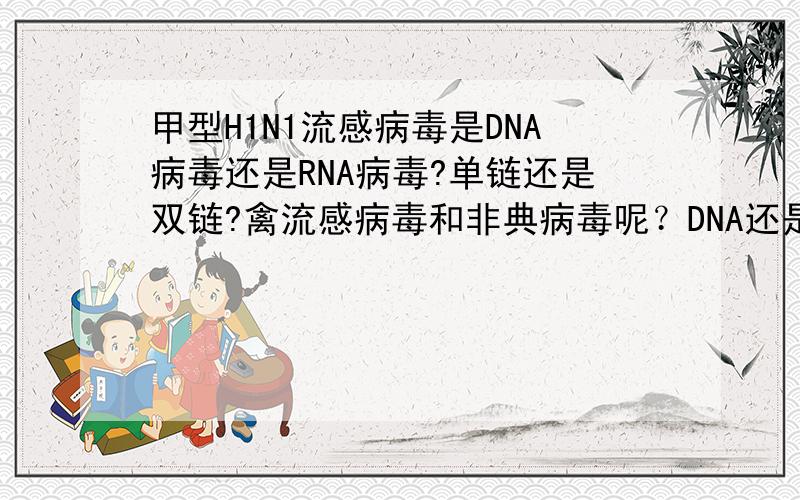 甲型H1N1流感病毒是DNA病毒还是RNA病毒?单链还是双链?禽流感病毒和非典病毒呢？DNA还是RNA？单链还是双链？
