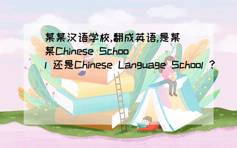 某某汉语学校,翻成英语,是某某Chinese School 还是Chinese Language School ?