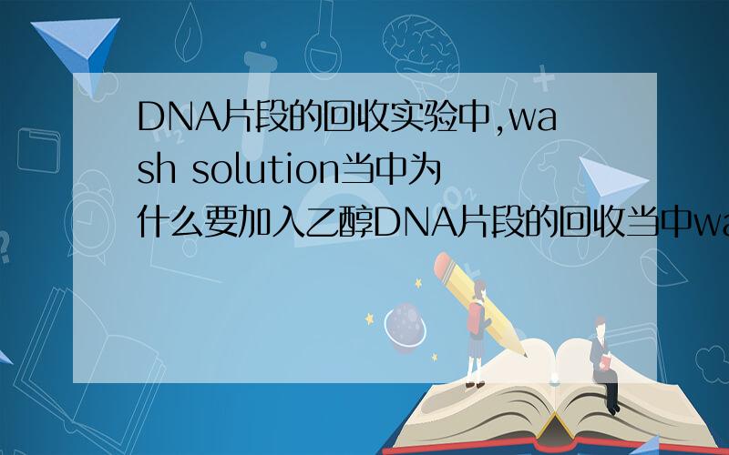 DNA片段的回收实验中,wash solution当中为什么要加入乙醇DNA片段的回收当中wash solution中要加入乙醇 有的是要用乙醇稀释