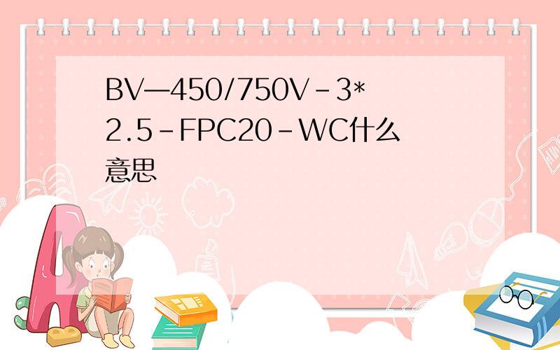 BV—450/750V-3*2.5-FPC20-WC什么意思