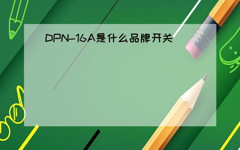 DPN-16A是什么品牌开关