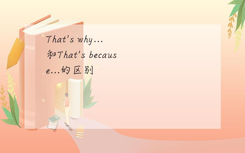 That's why... 和That's because...的区别