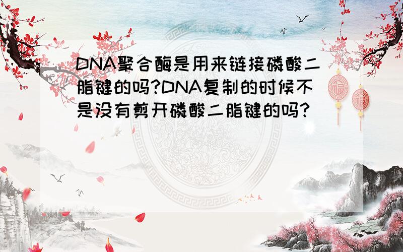 DNA聚合酶是用来链接磷酸二脂键的吗?DNA复制的时候不是没有剪开磷酸二脂键的吗?