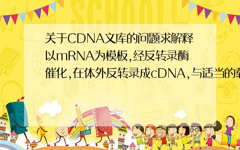 关于CDNA文库的问题求解释以mRNA为模板,经反转录酶催化,在体外反转录成cDNA,与适当的载体（常用噬菌体或质粒载体）连接后转化受体菌,则每个细菌含有一段cDNA,并能繁殖扩增,这样包含着细胞