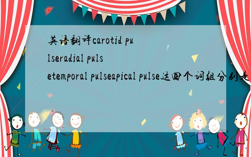 英语翻译carotid pulseradial pulsetemporal pulseapical pulse这四个词组分别是什么意思?