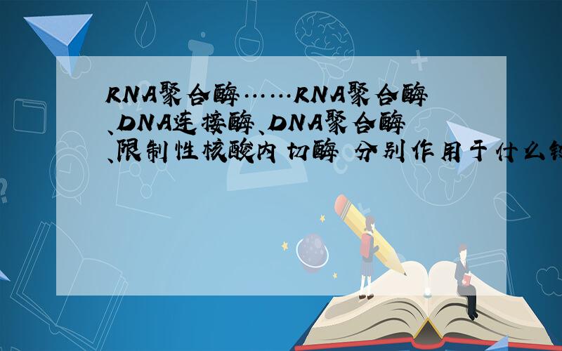 RNA聚合酶……RNA聚合酶、DNA连接酶、DNA聚合酶、限制性核酸内切酶 分别作用于什么键?（氢键?磷酸二酯键?还是都有?还是只是催化作用?）