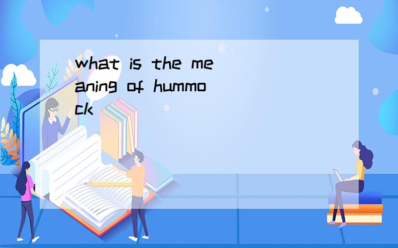 what is the meaning of hummock