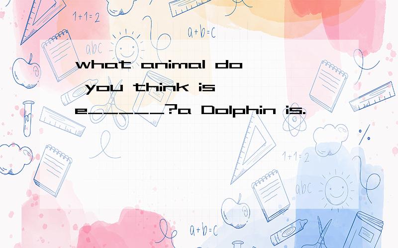 what animal do you think is e_____?a Dolphin is.