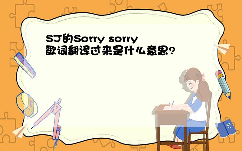 SJ的Sorry sorry歌词翻译过来是什么意思?