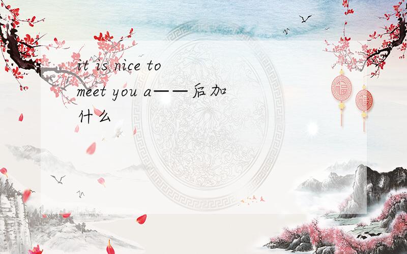 it is nice to meet you a——后加什么