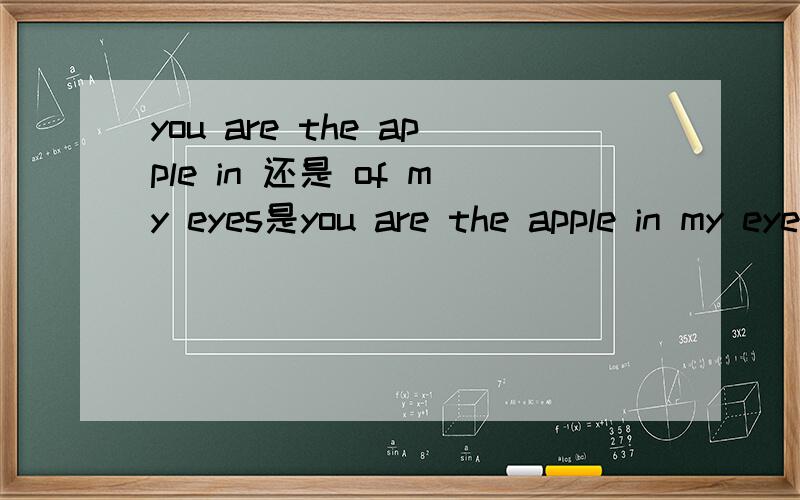 you are the apple in 还是 of my eyes是you are the apple in my eyes,还是you are the apple of my eyes 通用?