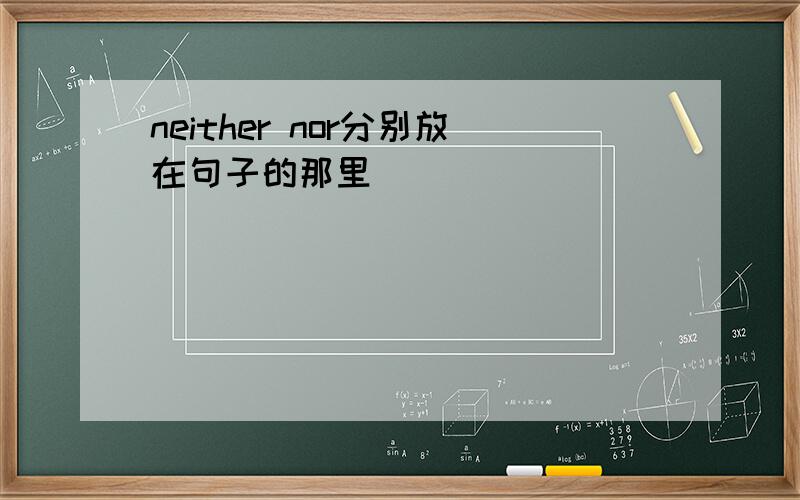 neither nor分别放在句子的那里