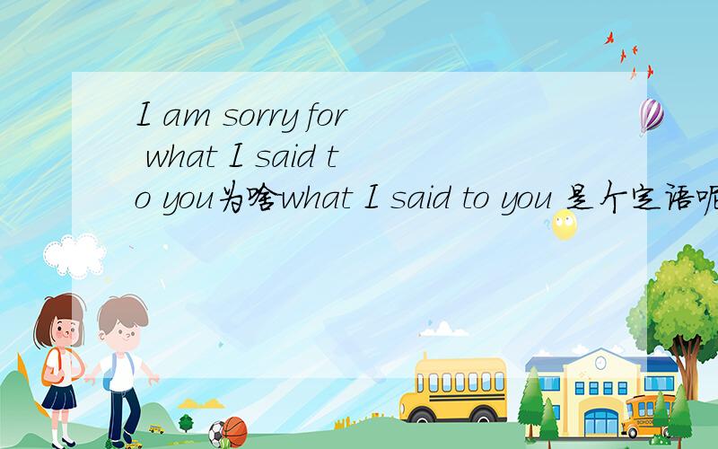 I am sorry for what I said to you为啥what I said to you 是个定语呢