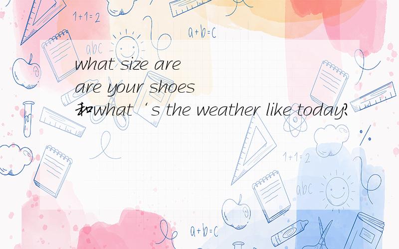 what size are are your shoes和what‘s the weather like today?