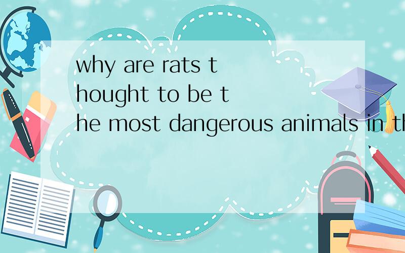 why are rats thought to be the most dangerous animals in the world?