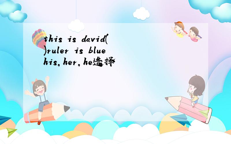 this is david()ruler is bluehis，her，he选择