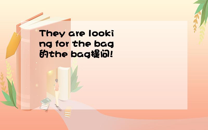 They are looking for the bag的the bag提问!