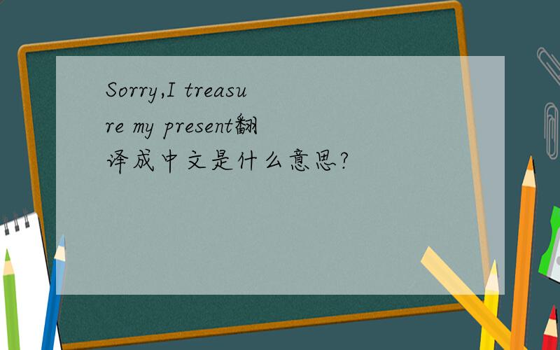 Sorry,I treasure my present翻译成中文是什么意思?
