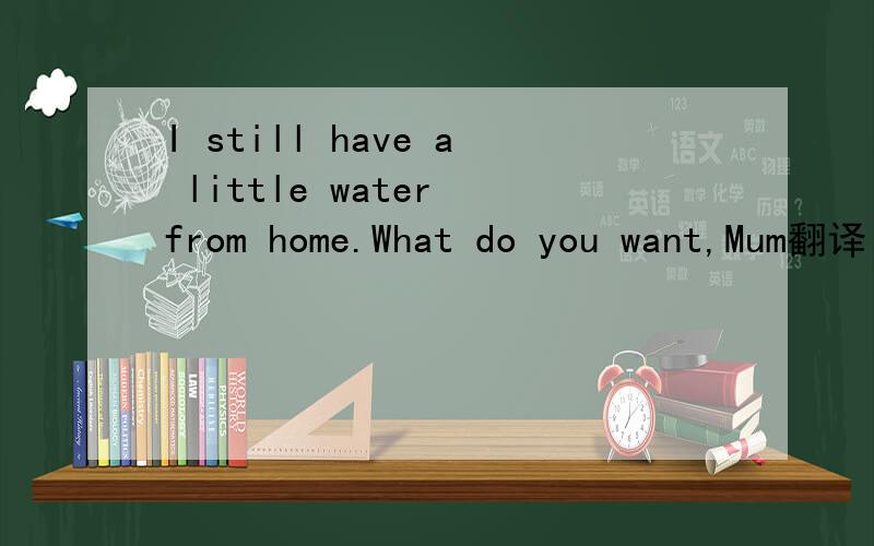 I still have a little water from home.What do you want,Mum翻译