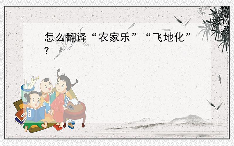 怎么翻译“农家乐”“飞地化”?