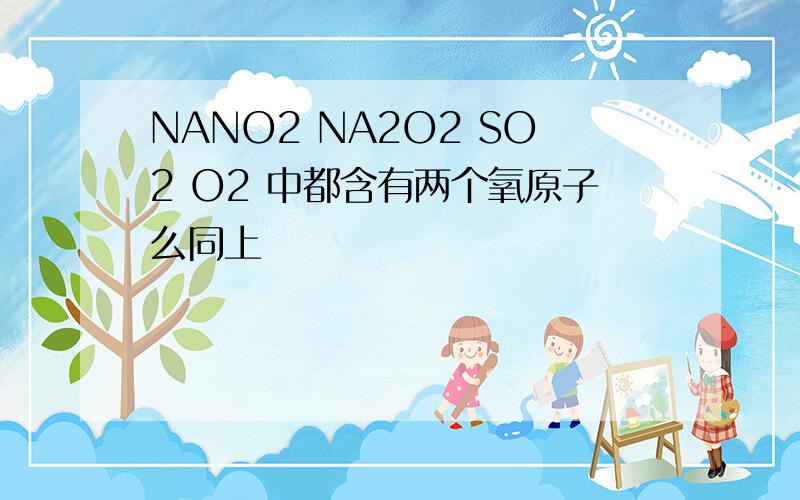NANO2 NA2O2 SO2 O2 中都含有两个氧原子么同上