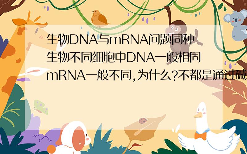 生物DNA与mRNA问题同种生物不同细胞中DNA一般相同mRNA一般不同,为什么?不都是通过碱基互补配对得到的mRNA吗,为什么不一样!