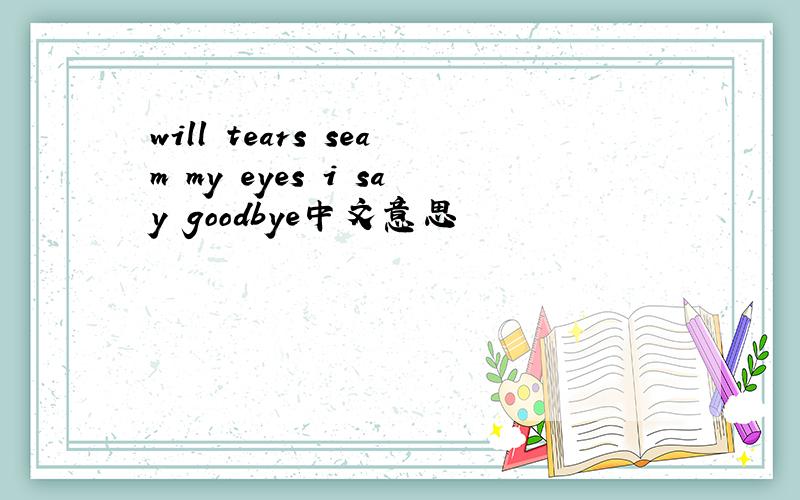 will tears seam my eyes i say goodbye中文意思