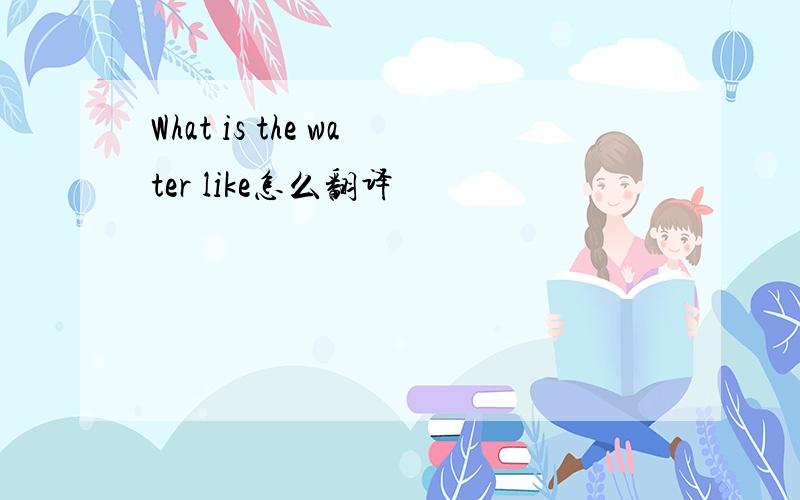 What is the water like怎么翻译