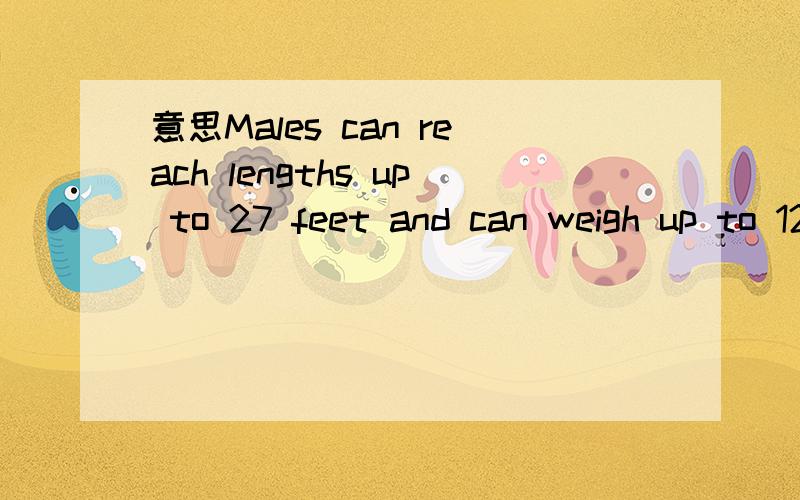 意思Males can reach lengths up to 27 feet and can weigh up to 12,000 lb